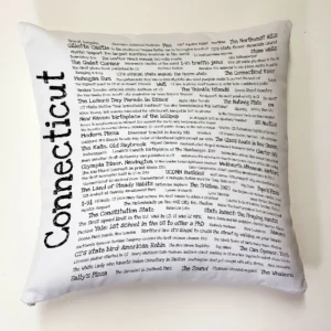 A pillow with the words " connecticut " written on it.