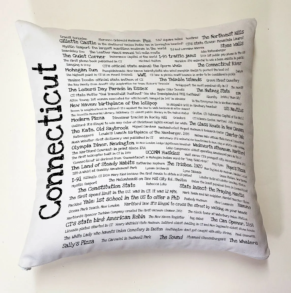 A pillow with the words " connecticut " written on it.