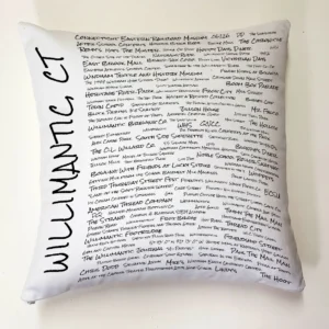 A pillow with the words willamette ct written on it.