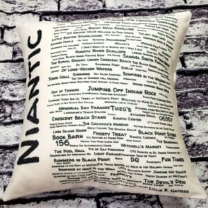 A pillow with the word " niantic " written on it.