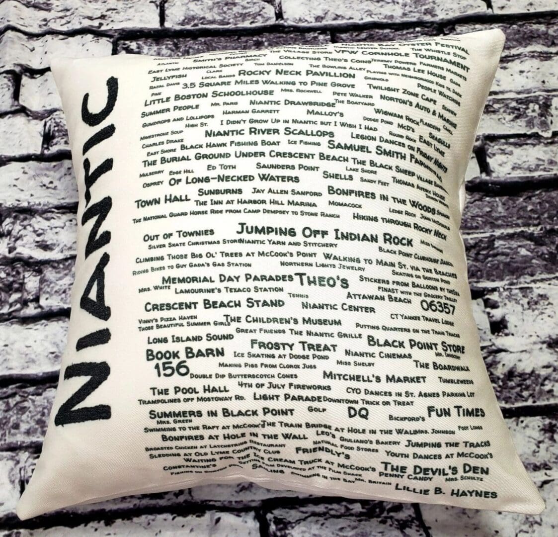 A pillow with the word " niantic " written on it.