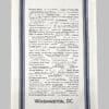 Washington, DC Townie Tea Towel
