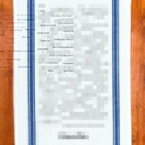 Dunedin Townie Tea Towel