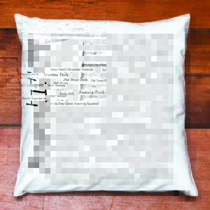 Ansonia Pride Pillow Cover