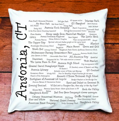 Ansonia Pride Pillow Cover