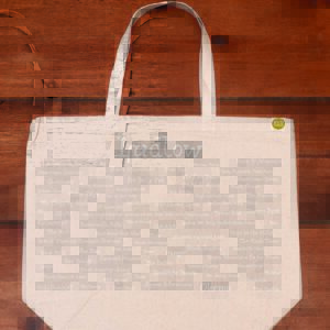 Ludlow, VT Pride EcoTote