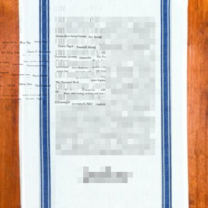 Ludlow, VT Townie Tea Towel